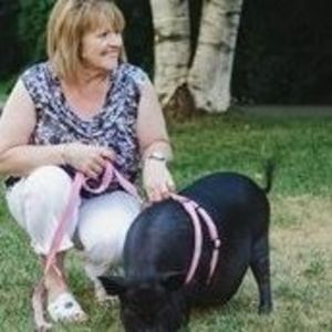 Meet your Posher, Joyce